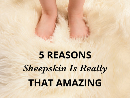 5 Reasons Sheepskin Is Really That Amazing