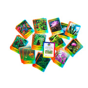 Indigenous Plants Memory Matching Cards