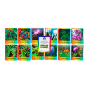 Indigenous Plants Memory Matching Cards