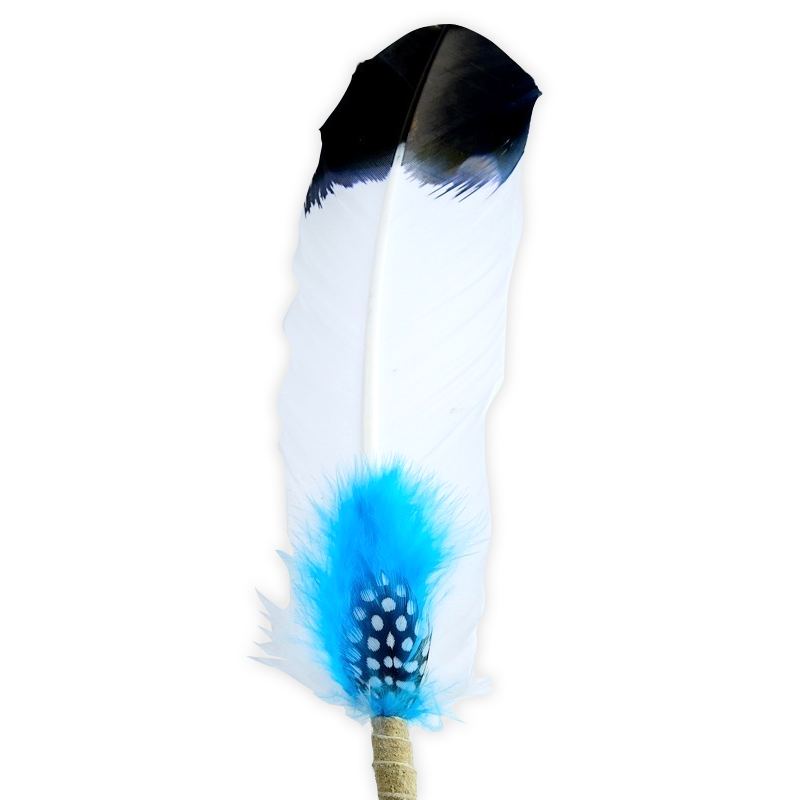 Large Smudging Feather