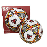 Indigenous Art Soccer Ball