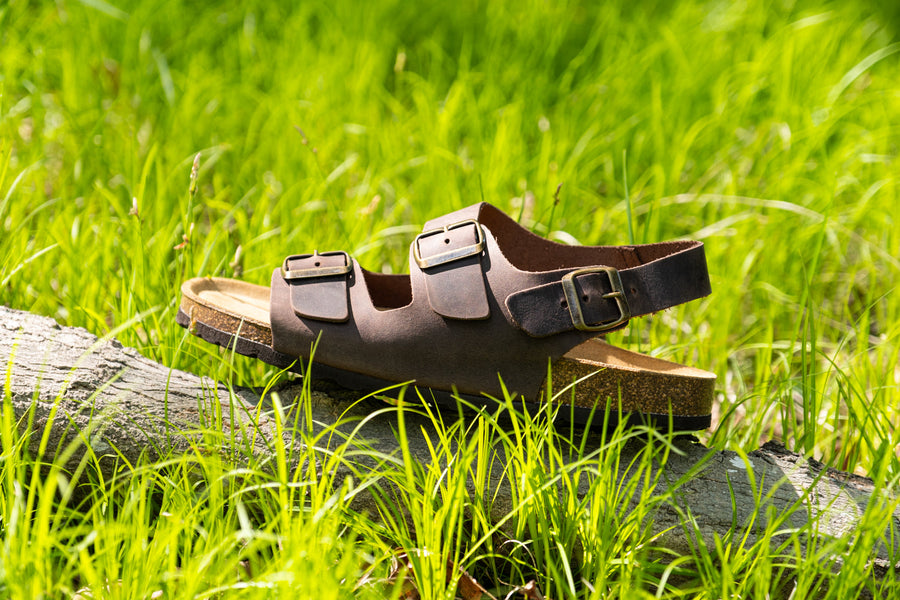 Men's Cohen Sandals