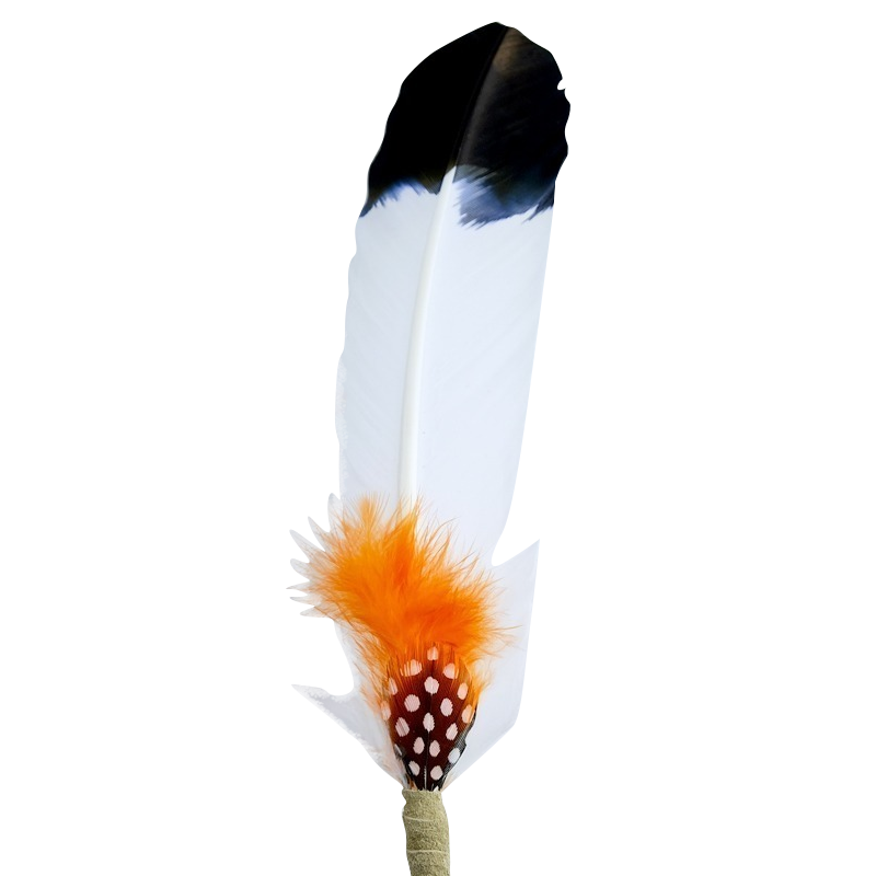 Large Smudging Feather